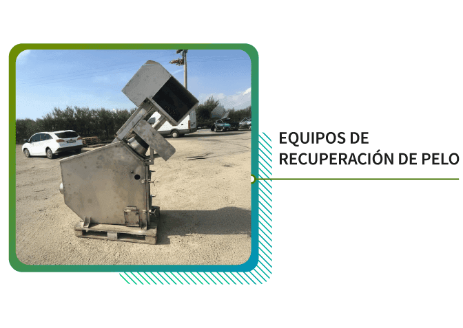 Equipos de recuperación de Pelo