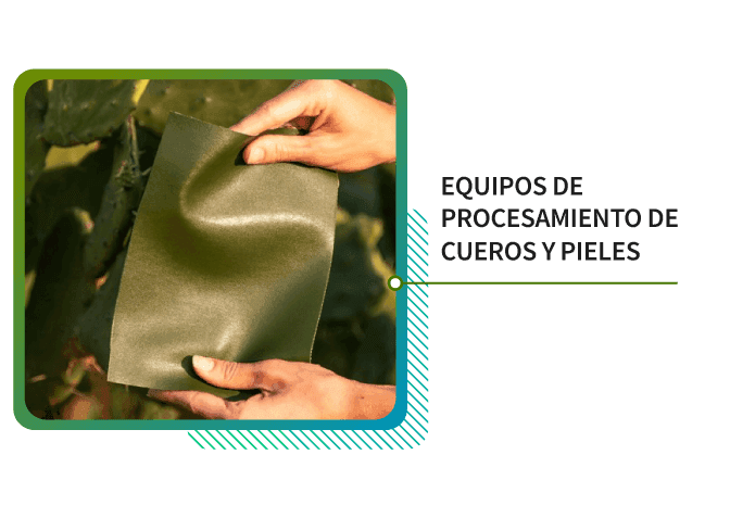 Equipo de Procesamiento de cueros y pieles